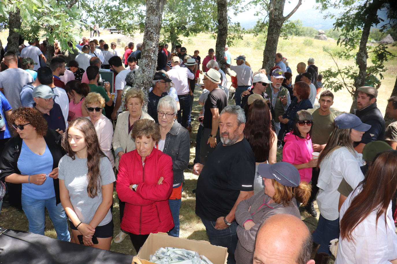 Aldeacipreste rinde homenaje a la trashumancia