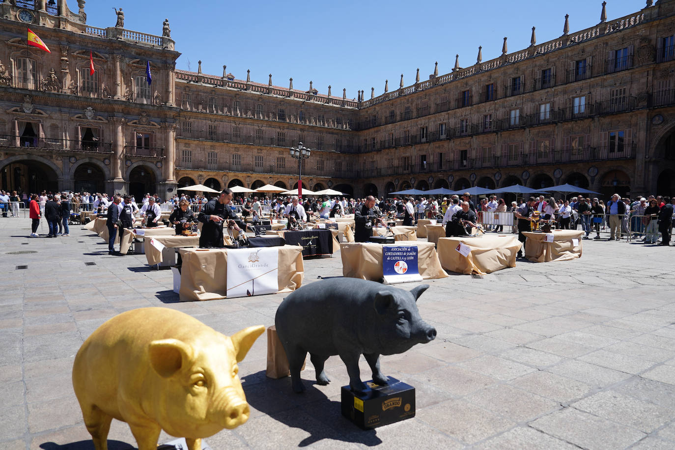 Miles de salmantinos disfrutan de una exitosa jornada de ibérico en el centro