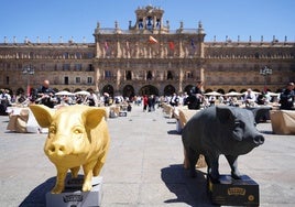 Espectáculo de cortadores de jamón en la Plaza Mayor