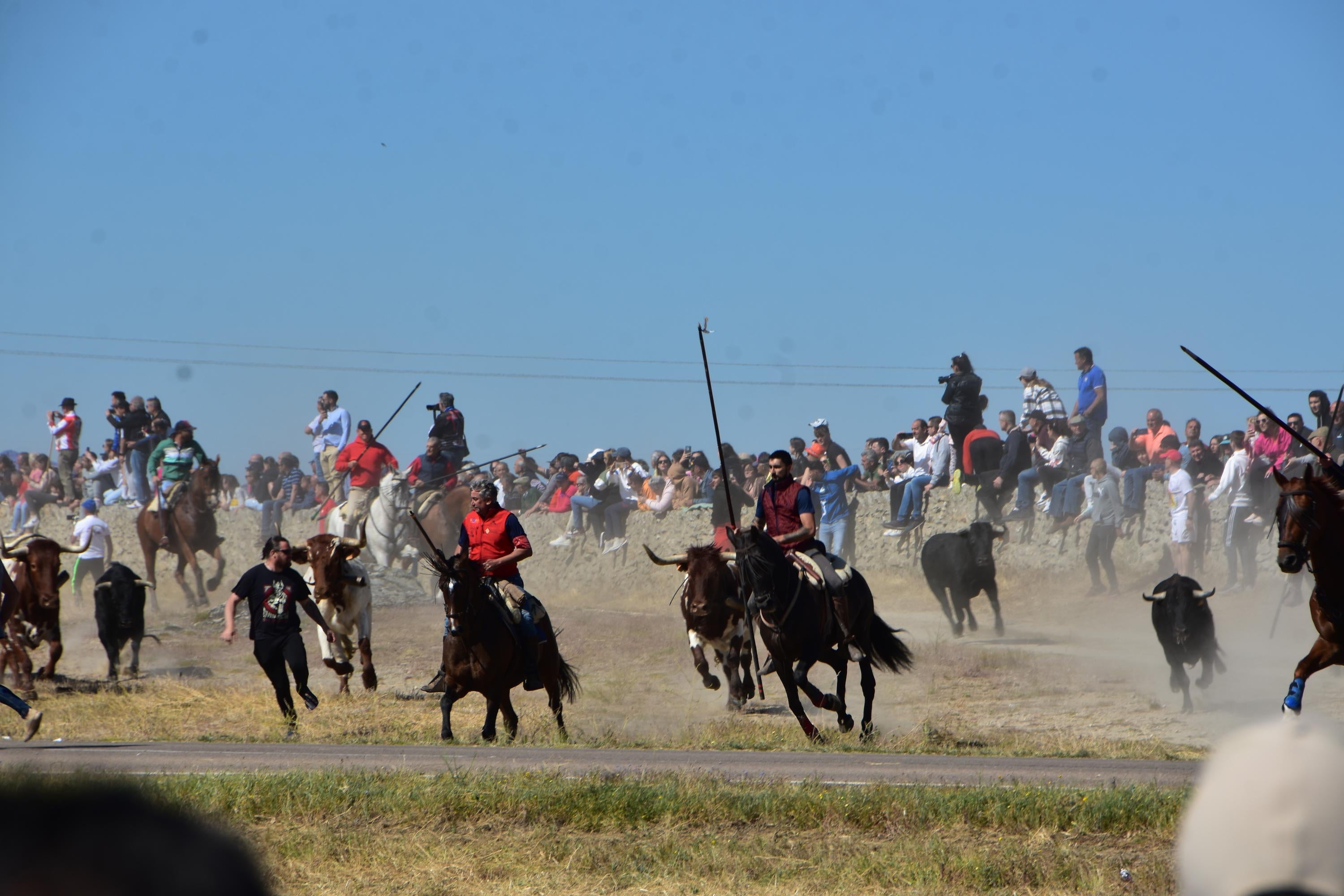 Vibrantes primeros &#039;Espantos&#039; de Corpus en Ledesma