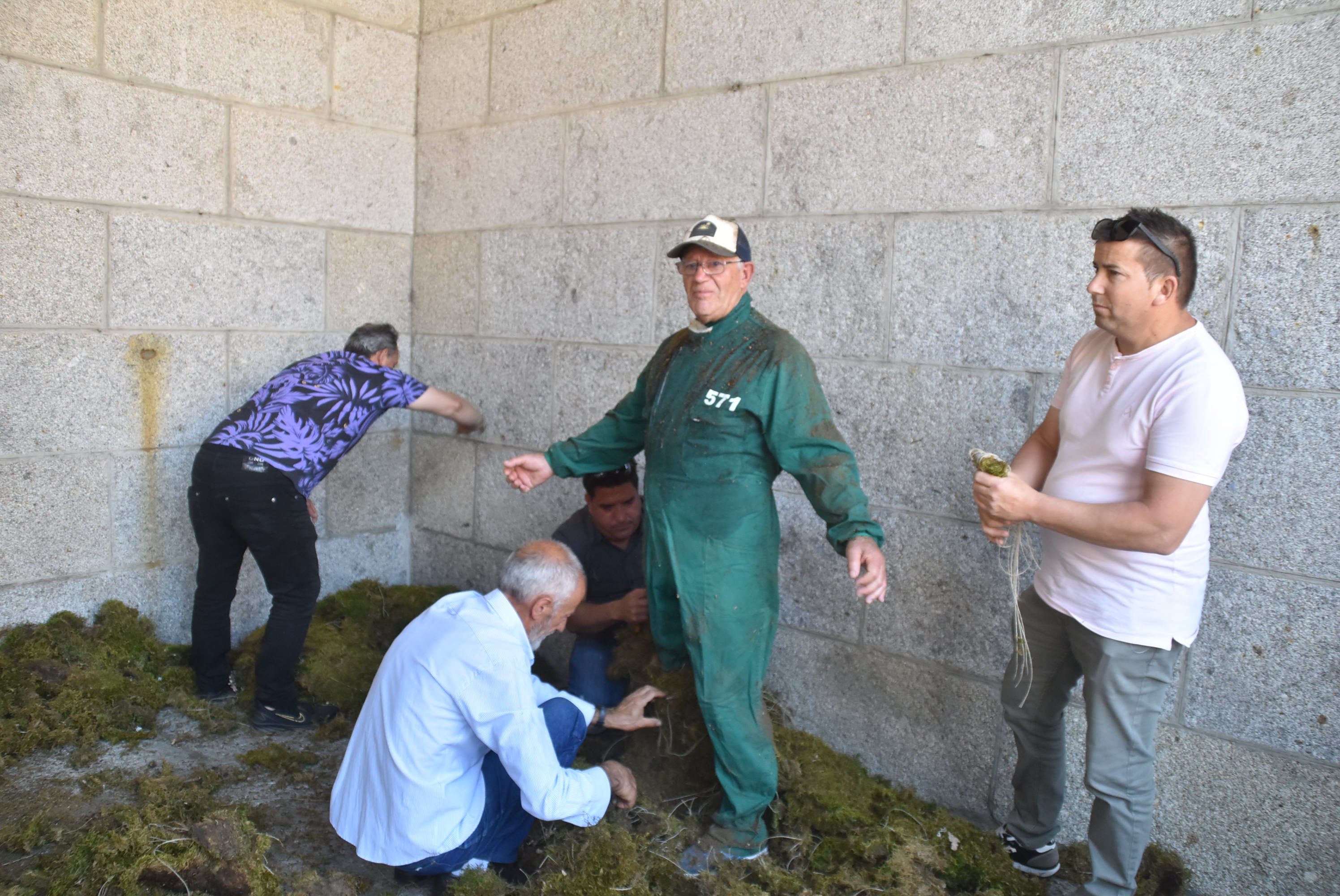 Una tradición en Béjar que coge fuerza gracias a los voluntarios