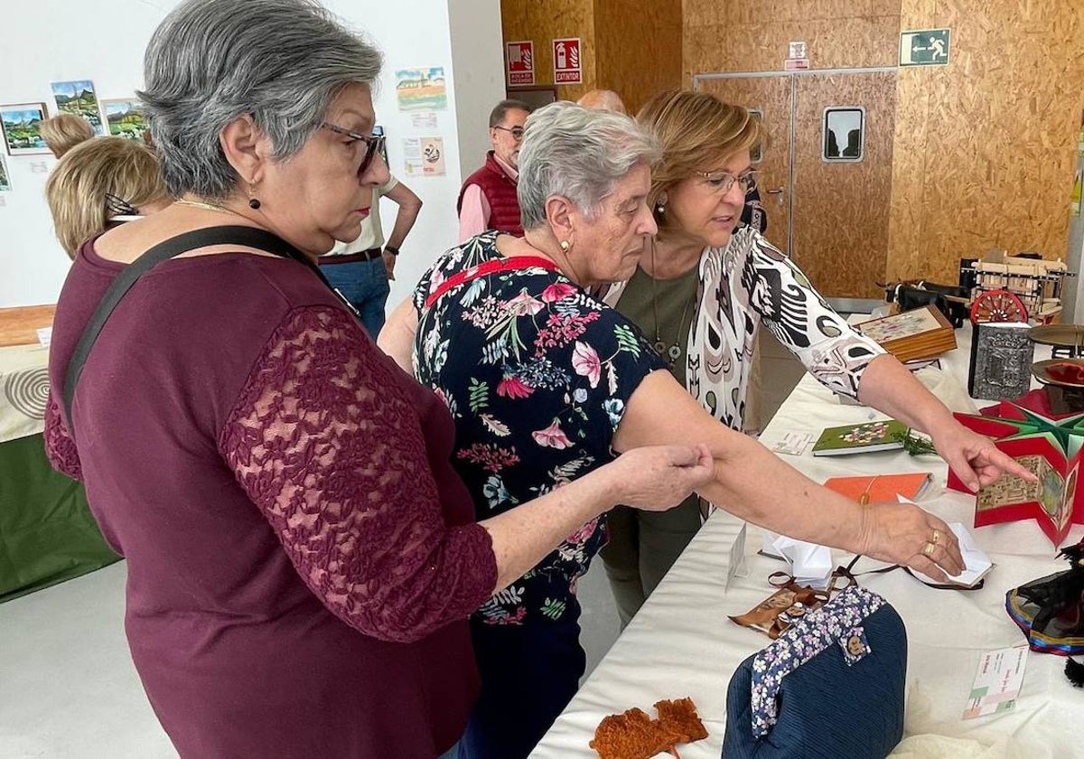 La concejala de Mayores, Isabel Macías, contempla algunas de las obras de la muestra.