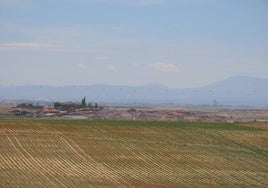 Vista desde una de las colinas del molino: Poveda de las Cintas, Peñaranda y las montañas.