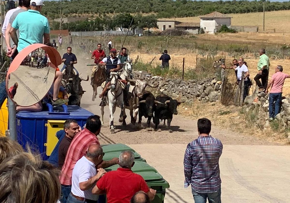 El encierro a caballo, una de las actividades más populares.