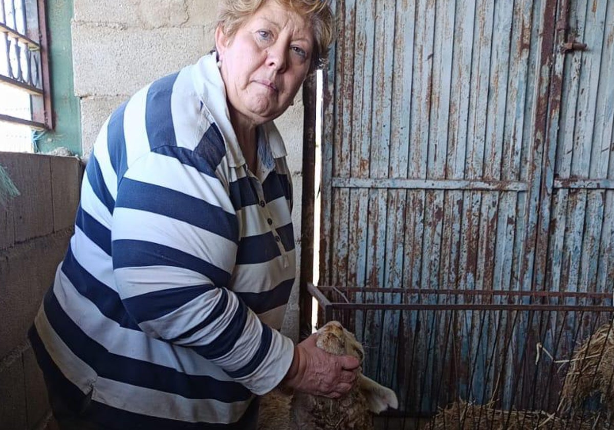 Isabel Herrera, con una de las ovejas que denuncia que le mordió el lobo el pasado domingo.