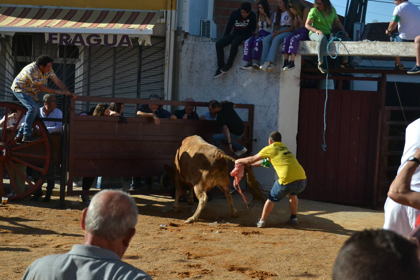 Martín de Yeltes sigue de fiesta con los toros como protagonistas