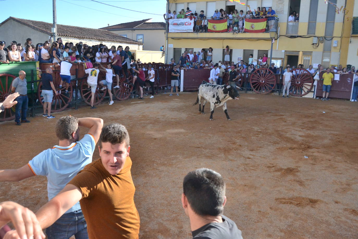 Martín de Yeltes sigue de fiesta con los toros como protagonistas