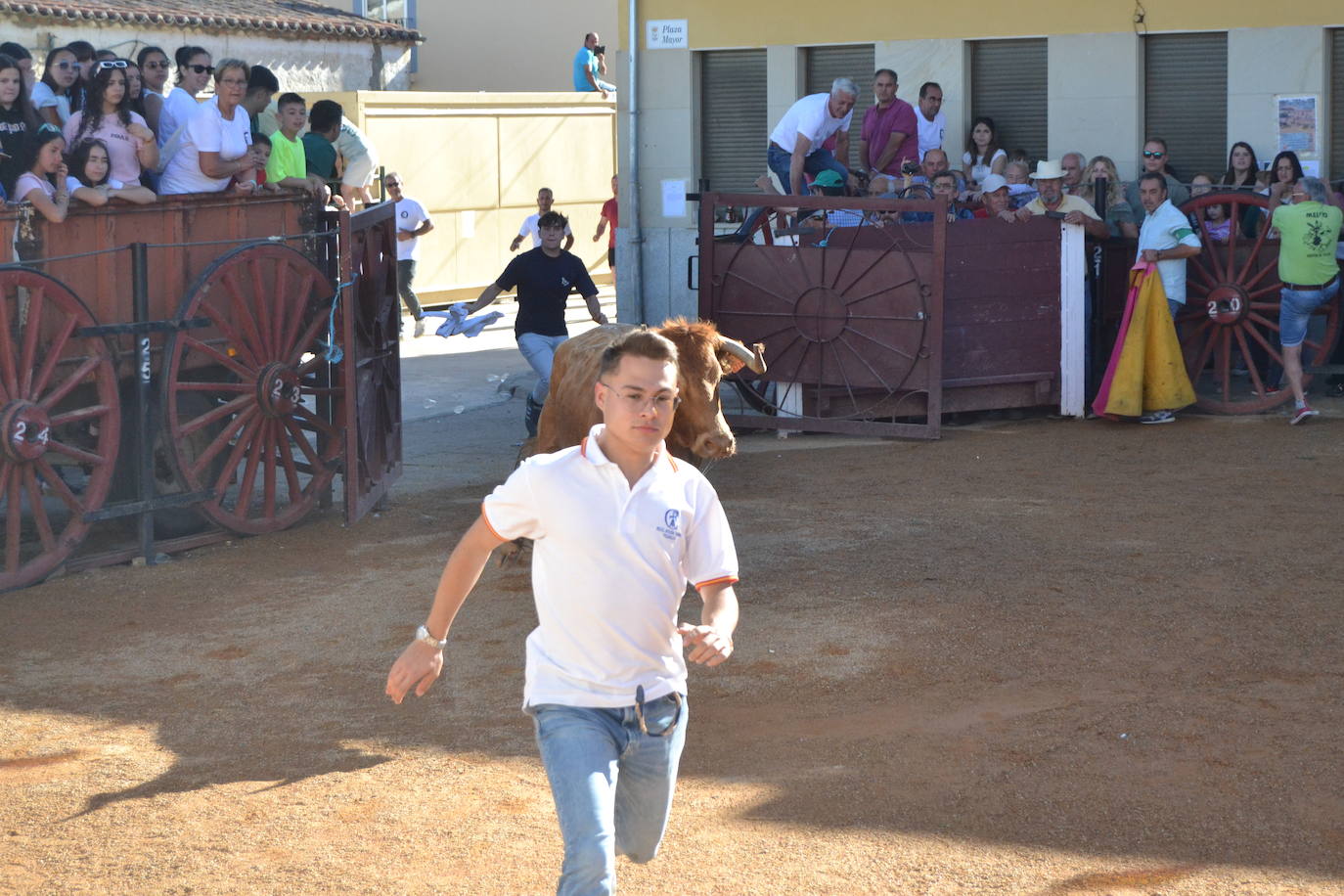 Martín de Yeltes sigue de fiesta con los toros como protagonistas