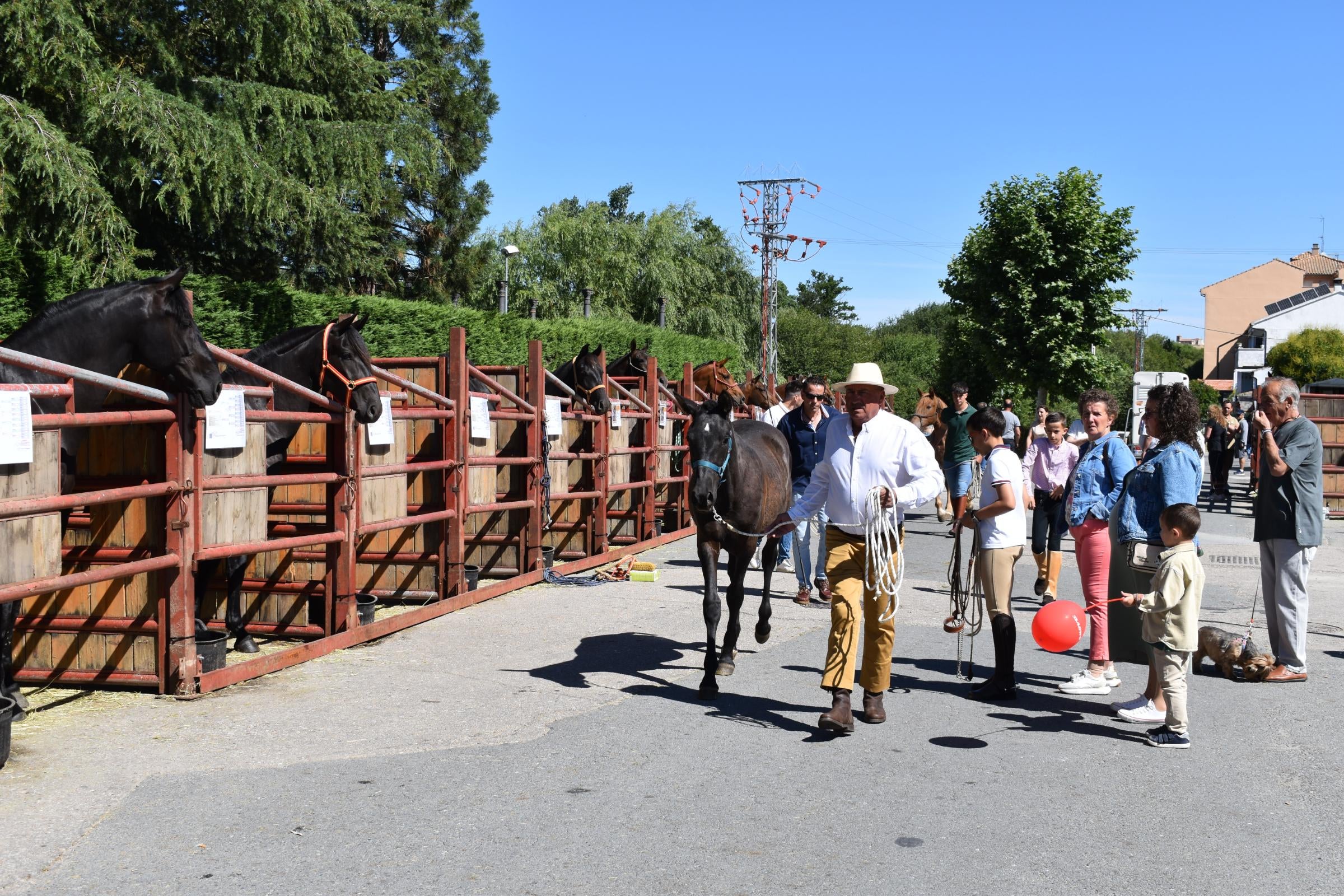 La Feria de San Antonio de Alba recupera su esencia con la vuelta del ganado