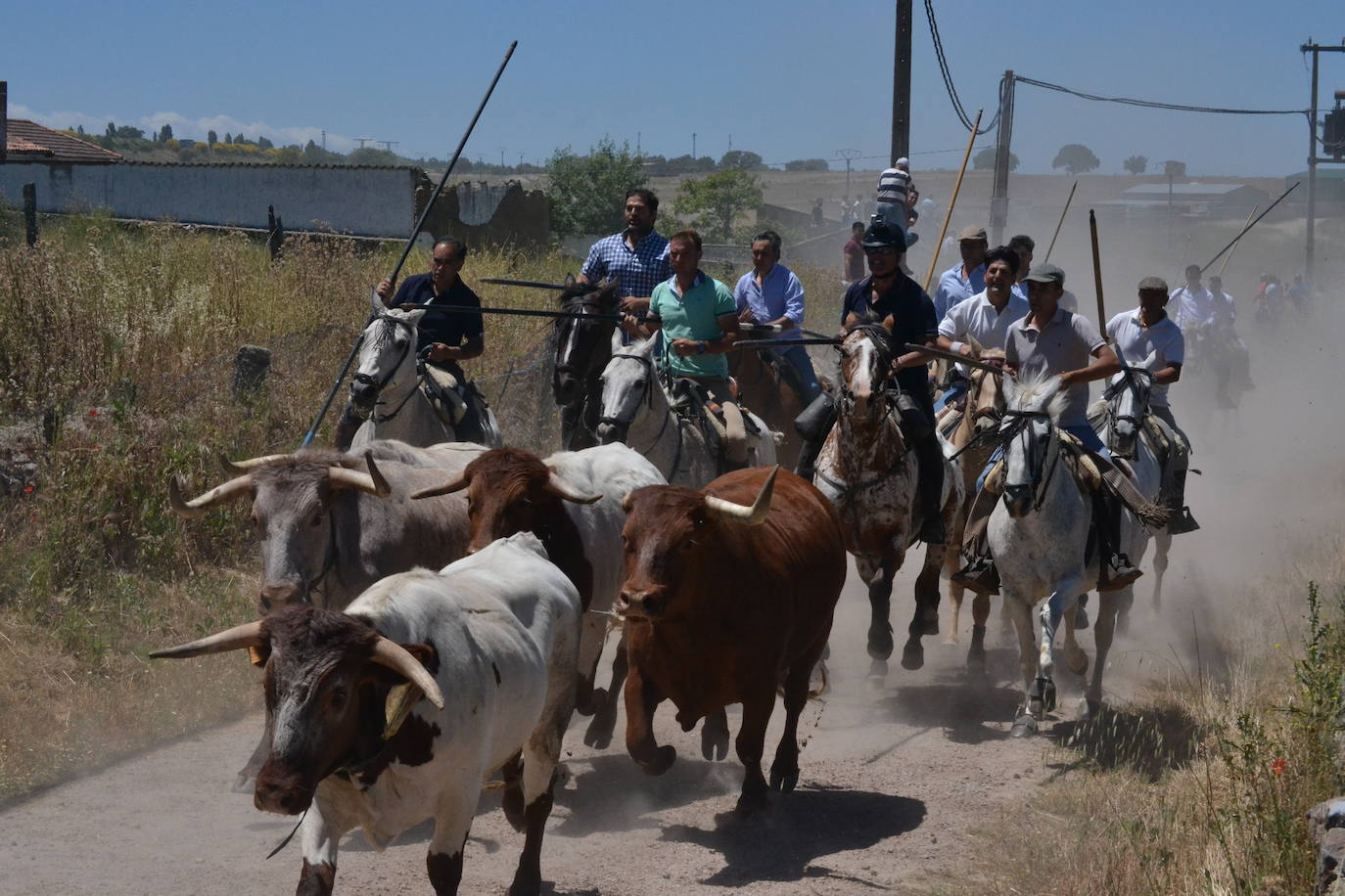 Rápido y vistoso encierro a caballo en Martín de Yeltes