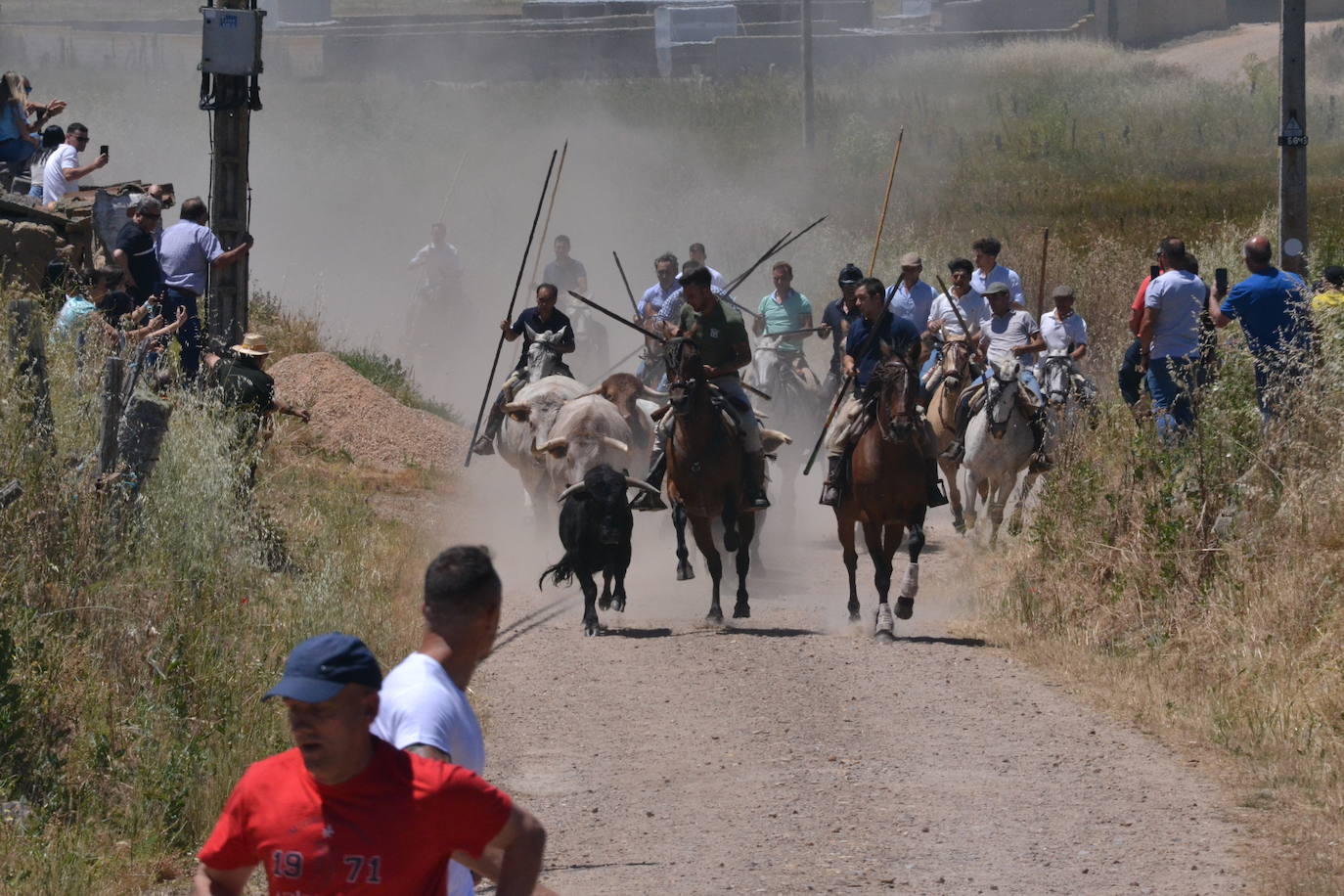 Rápido y vistoso encierro a caballo en Martín de Yeltes