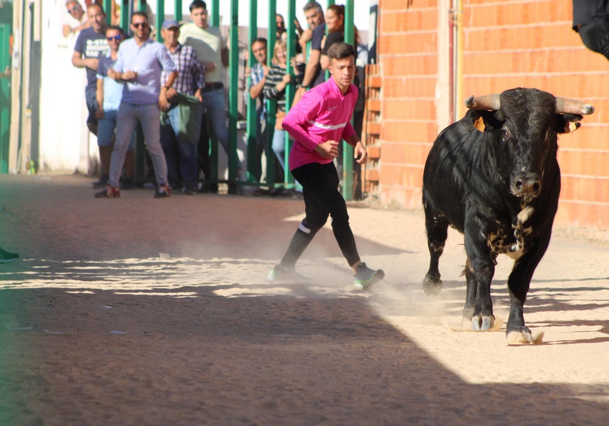 Un herido leve en el Toro del Cajón de Topas