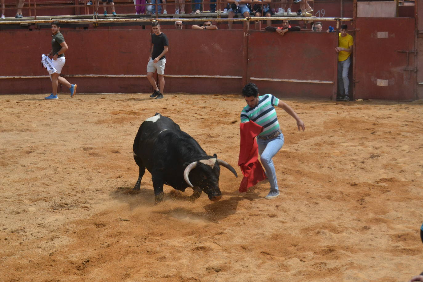 Tensión y riesgo en el Toro de Cajón de Hinojosa de Duero