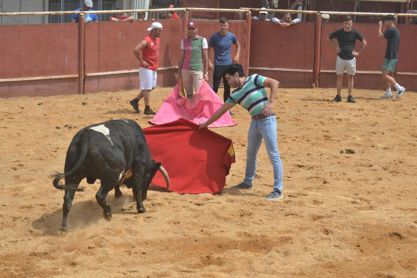 Tensión y riesgo en el Toro de Cajón de Hinojosa de Duero