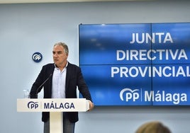 El vicesecretario de Coordinación Autonómica y Local y Análisis Electoral del PP, Elías Bendodo.