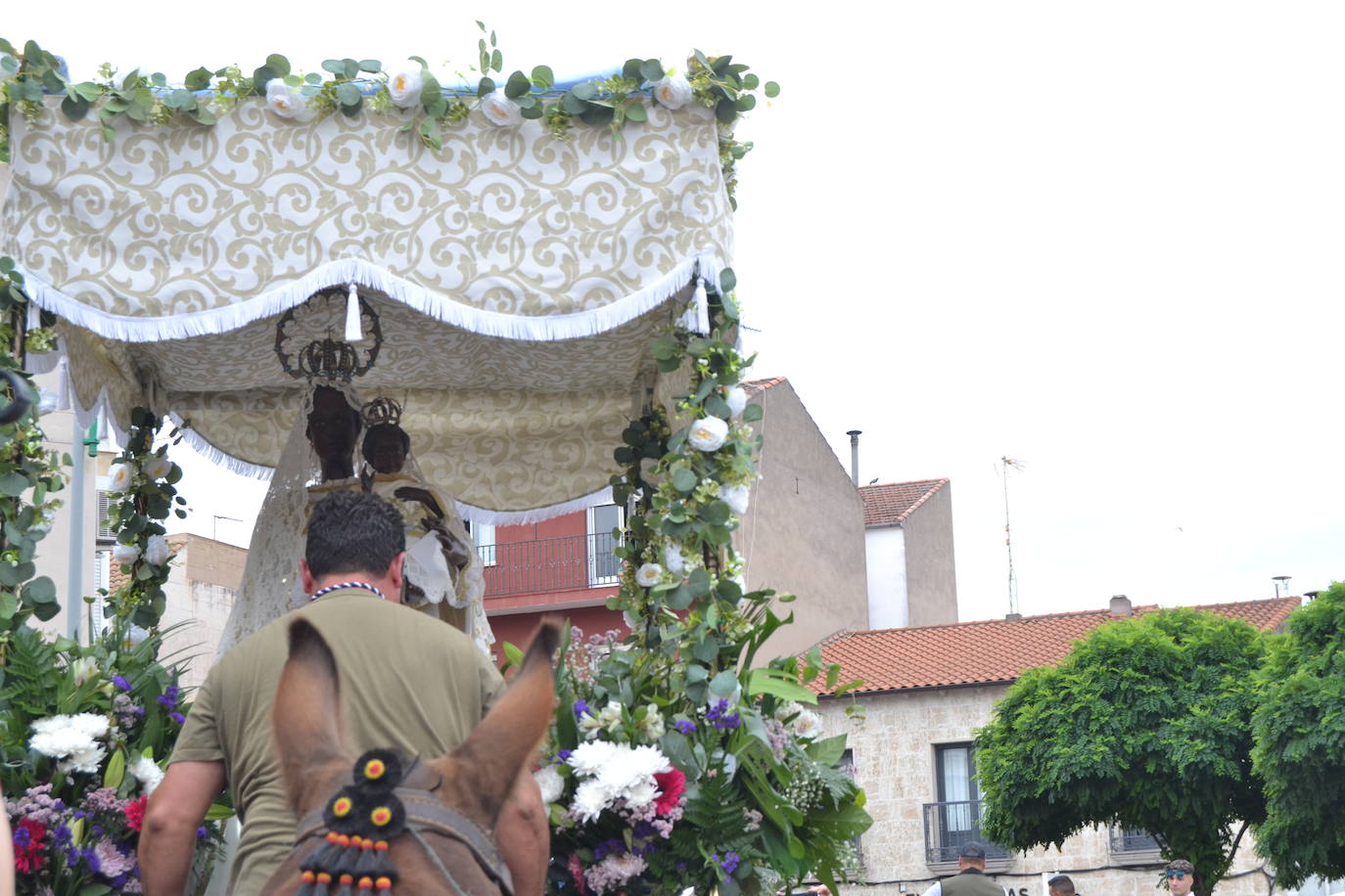 Los romeros mirobrigenses, en camino a la Peña de Francia pendientes del cielo