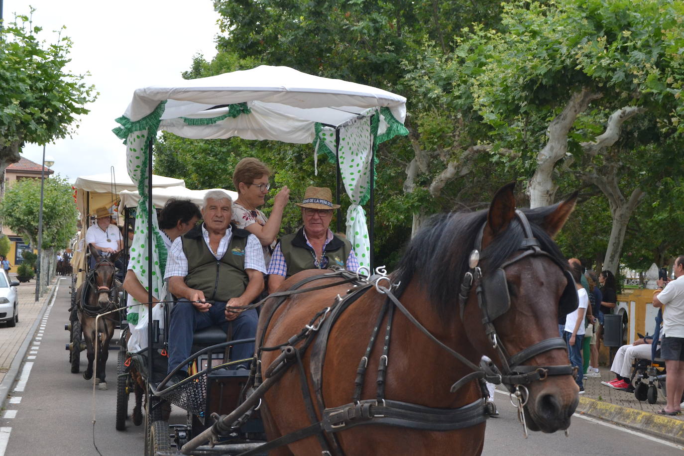 Los romeros mirobrigenses, en camino a la Peña de Francia pendientes del cielo