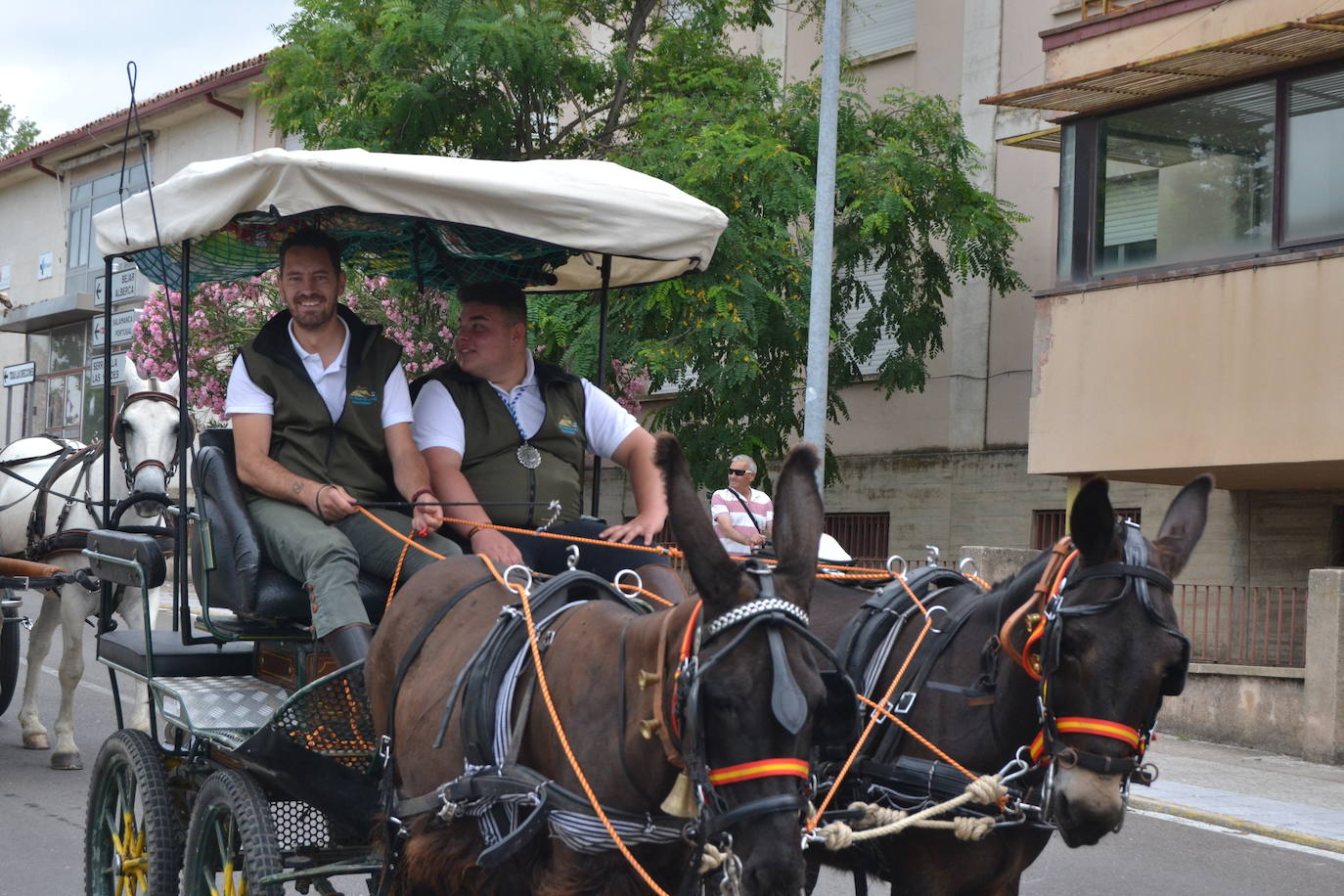 Los romeros mirobrigenses, en camino a la Peña de Francia pendientes del cielo