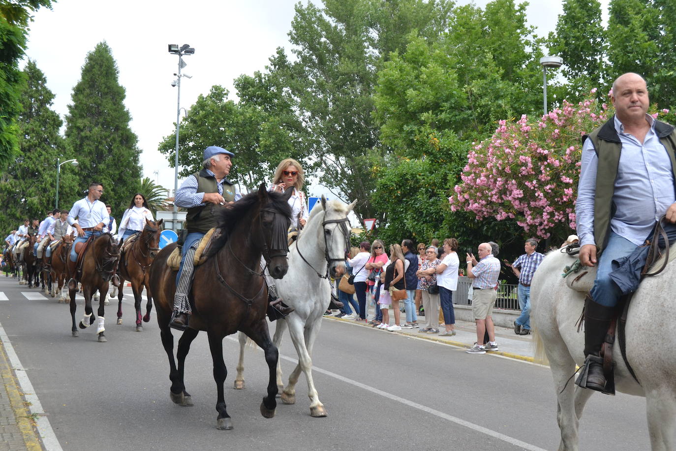 Los romeros mirobrigenses, en camino a la Peña de Francia pendientes del cielo