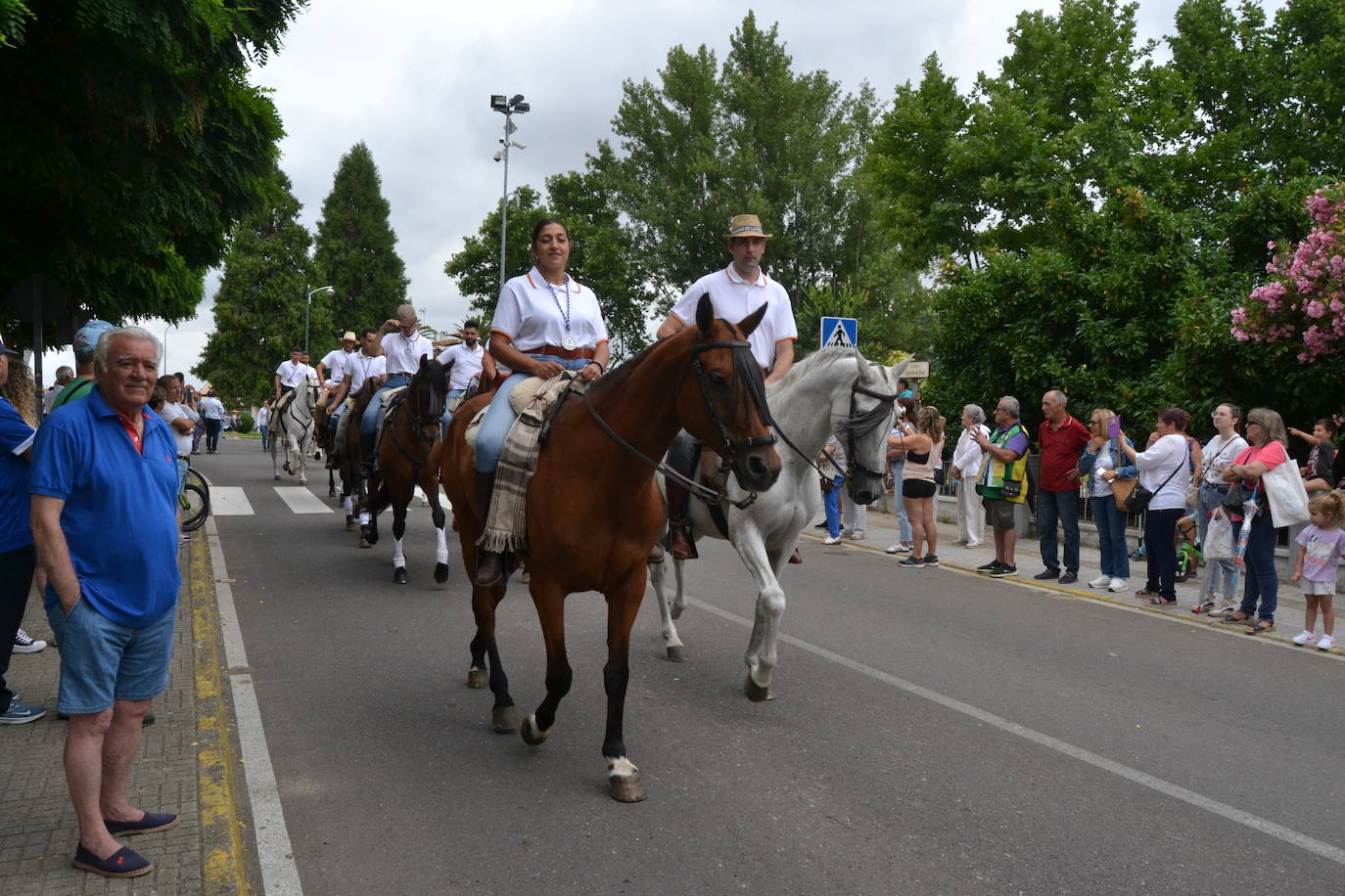 Los romeros mirobrigenses, en camino a la Peña de Francia pendientes del cielo