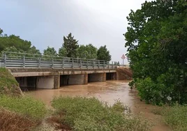 Cauce del río Poveda a útima hora de la tarde de este viernes.