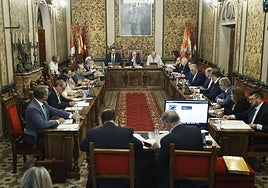 Imagen del pleno de la Diputación de Salamanca, celebrado en la mañana de este viernes, 28 de junio.