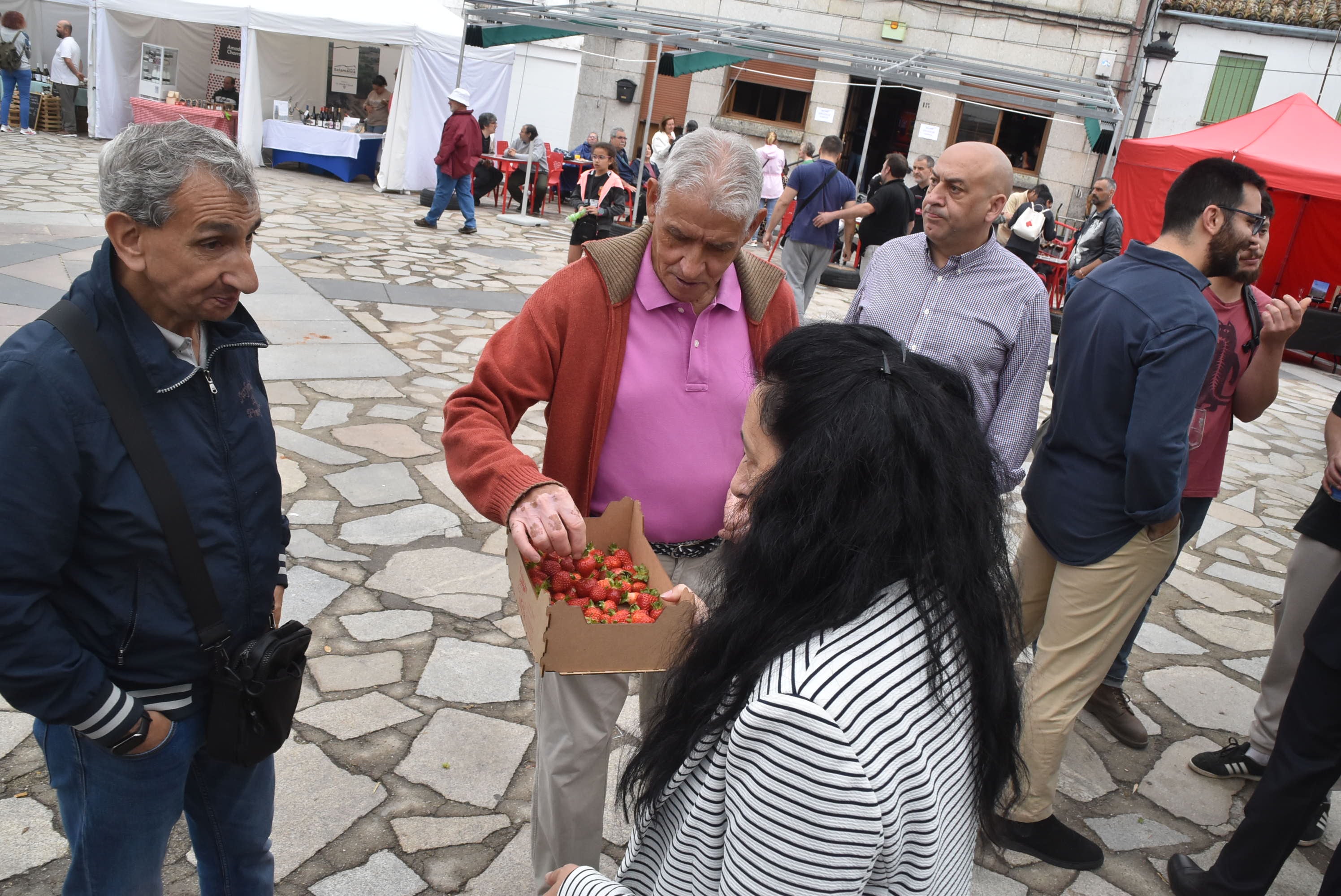 Linares reivindica su fresa autóctona