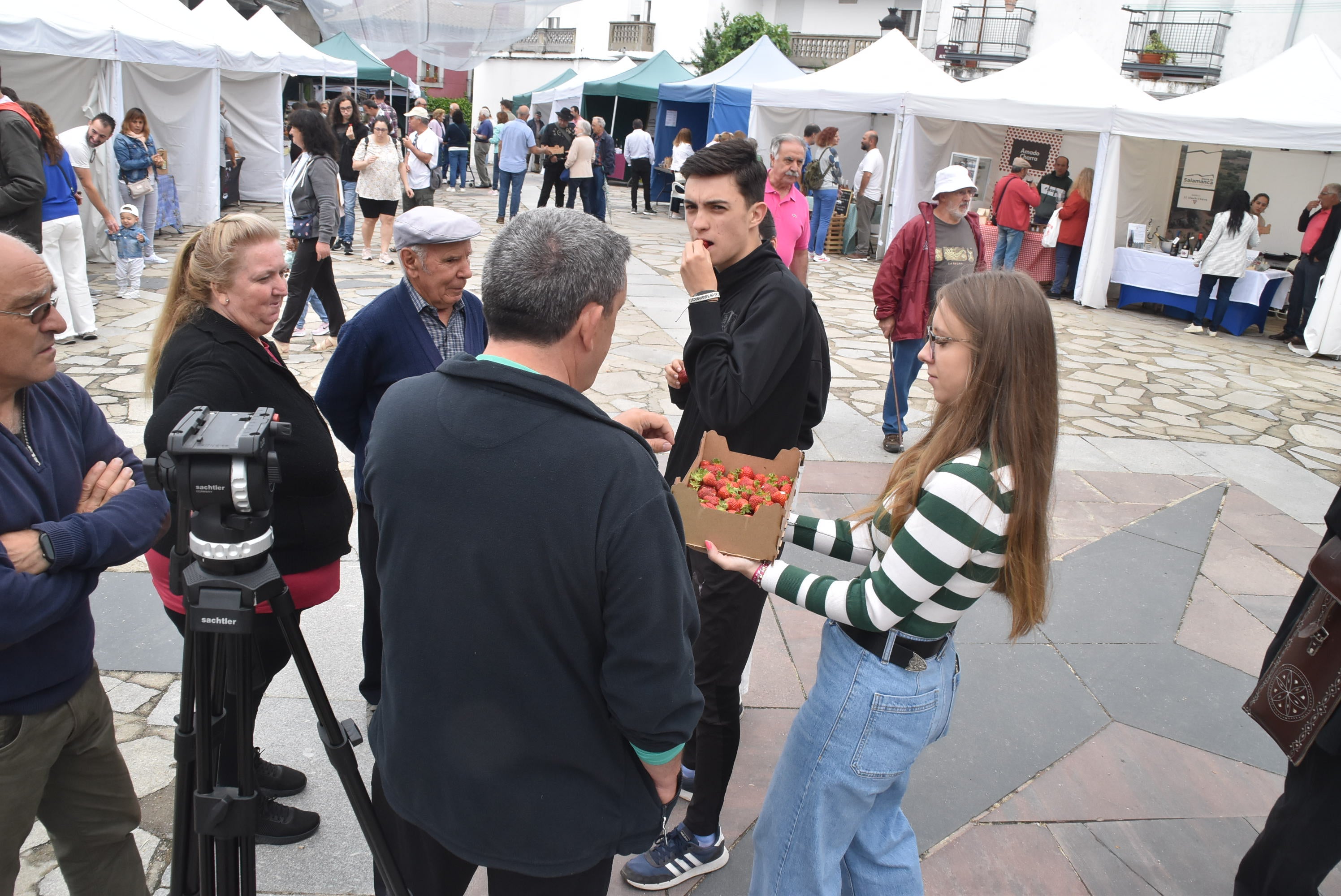 Linares reivindica su fresa autóctona