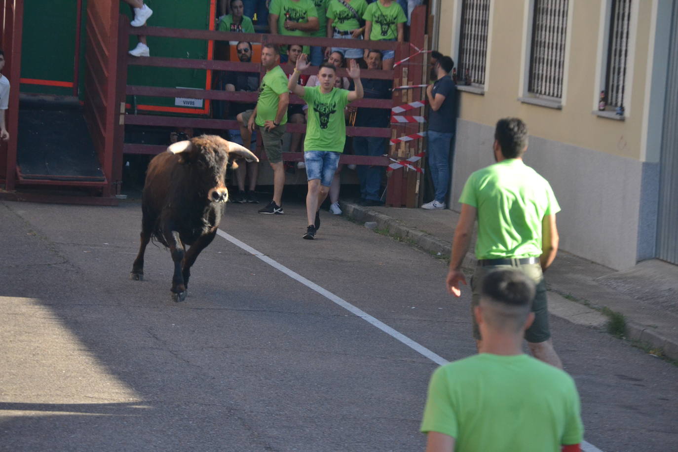Susto en la capea de Barrio Nuevo de Miróbriga