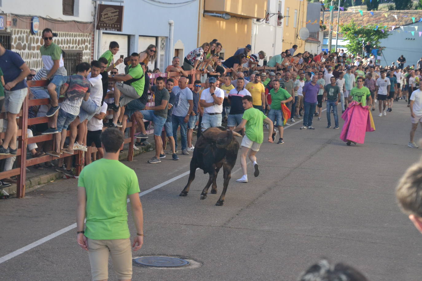 Susto en la capea de Barrio Nuevo de Miróbriga