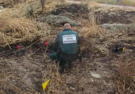 Una imagen de la Guardia Civil investigando en la zona del incendio.