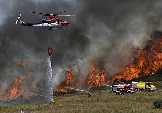 Los Bomberos actuando en un incendio forestal en la provincia el pasado verano