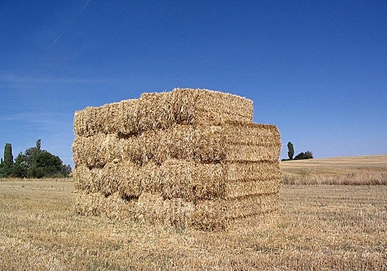 Pacas de paja en una parcela.
