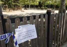 Imagen del pipicán precintado en la Avenida de Salamanca.