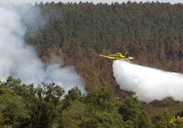 Incendio forestal en el municipio de San Muñoz