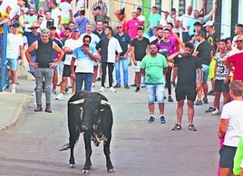 Los festejos taurinos se desarrollarán durante la noche del viernes 16 y la tarde del sábado 17.