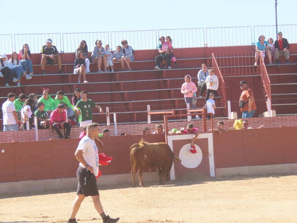 Dos bravos astados protagonizan el campero de Cantalpino