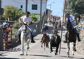 Vibrante encierro a caballo por las calles oñorenses