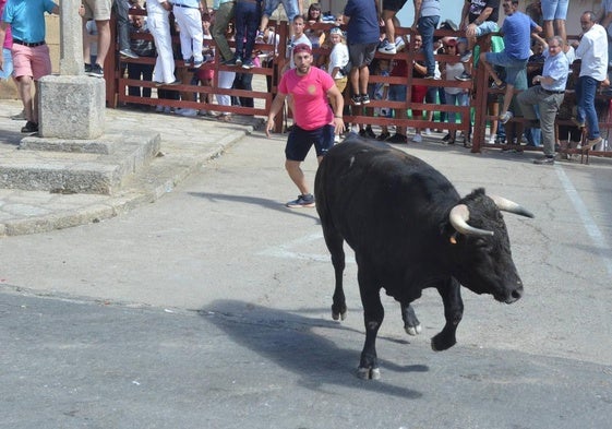 Los encieros urbanos destacan en la localidad.