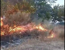 Fuego en la zona de Gudino.