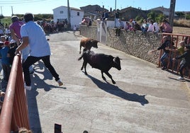 Paso de dos novillos durante el encierro