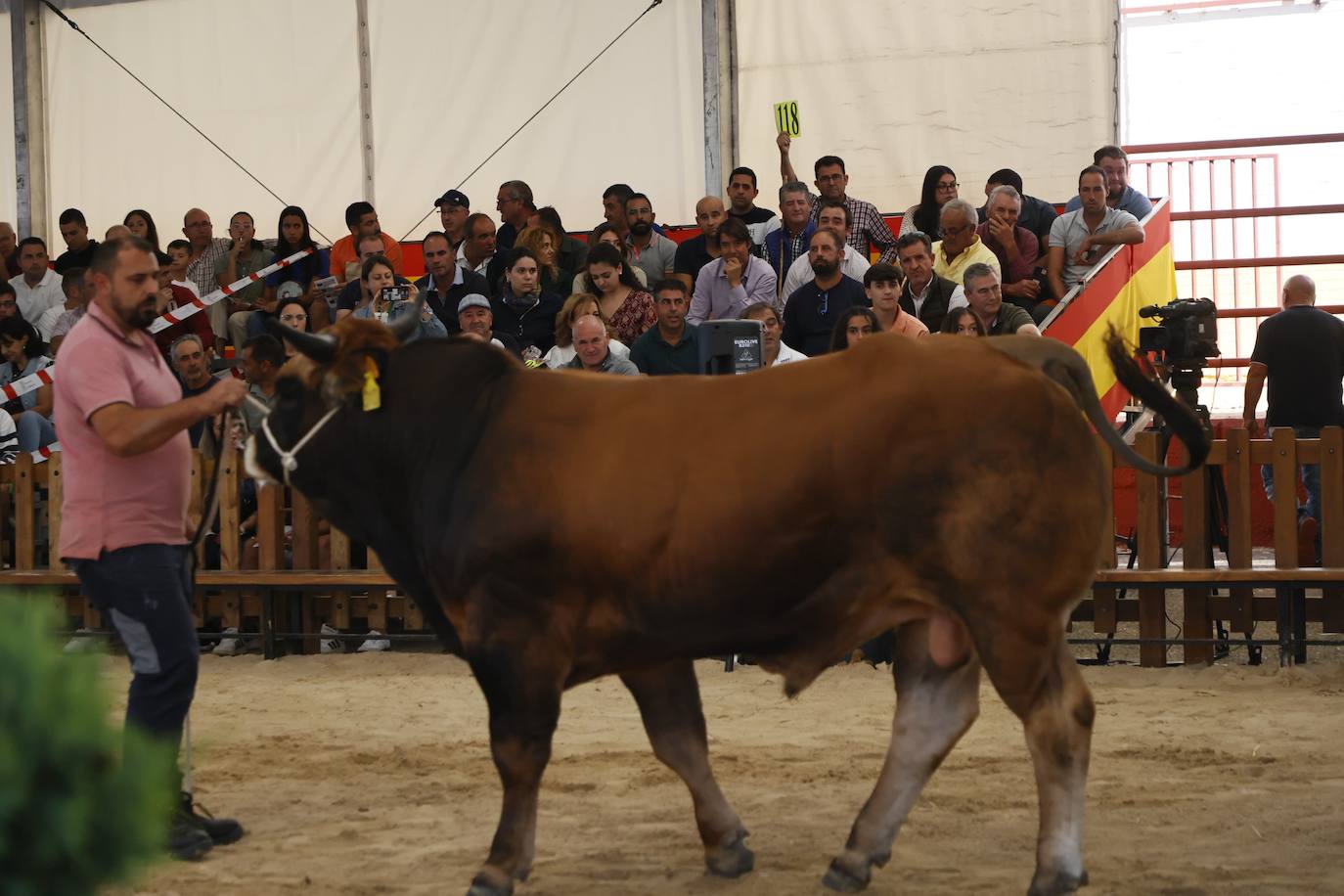 Salmantinos y turistas quieren disfrutar hasta el último minuto de &#039;Salamaq 2024&#039;: gran ambiente en el recinto ferial