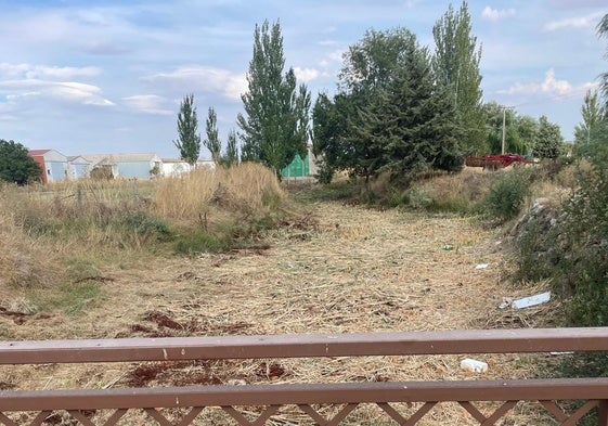 El arroyo de la Vega a su paso por Calzada de Valdunciel tras la limpieza del cauce en el tramo urbano.