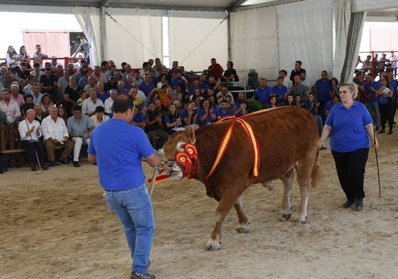 Carmen Caballero, en la subasta del toro de su ganadería, Fuente de Miel (Córdoba).