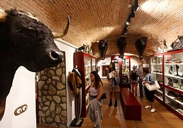 Puertas abiertas en el Museo taurino de Salamanca.