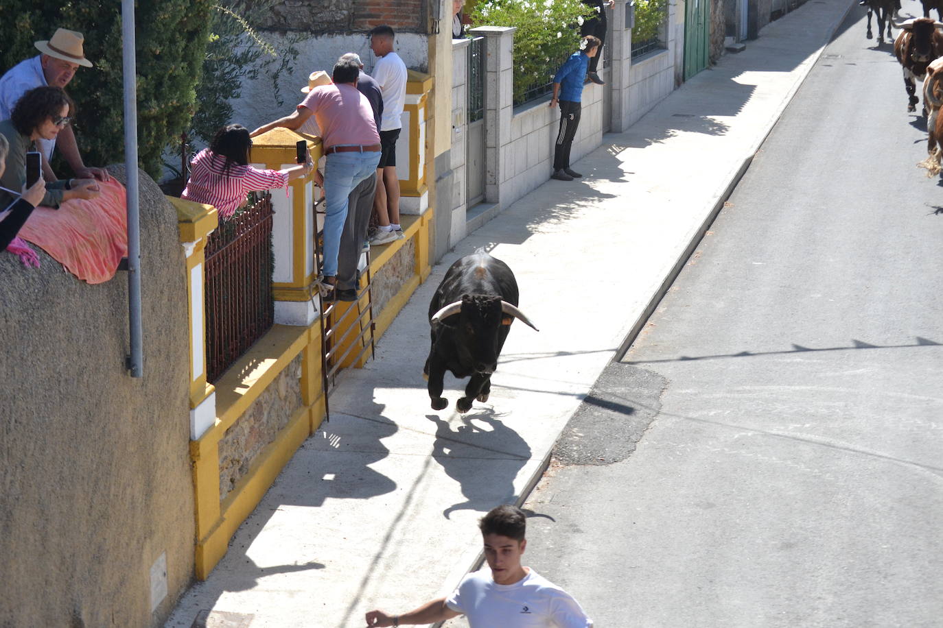 Bello y vistoso encierro a caballo en Bañobárez