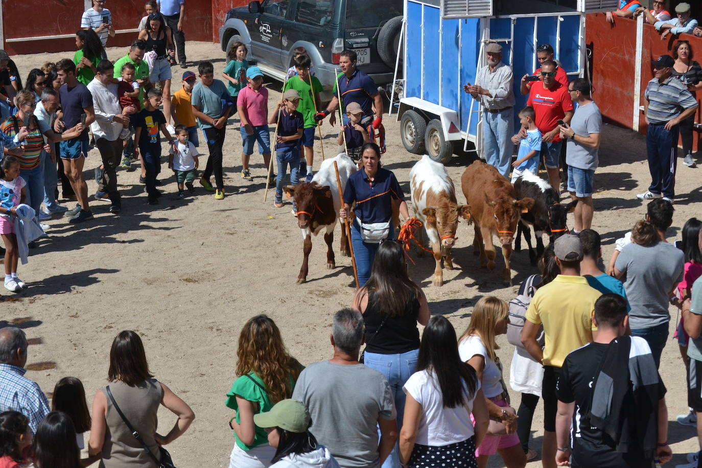 Bello y vistoso encierro a caballo en Bañobárez