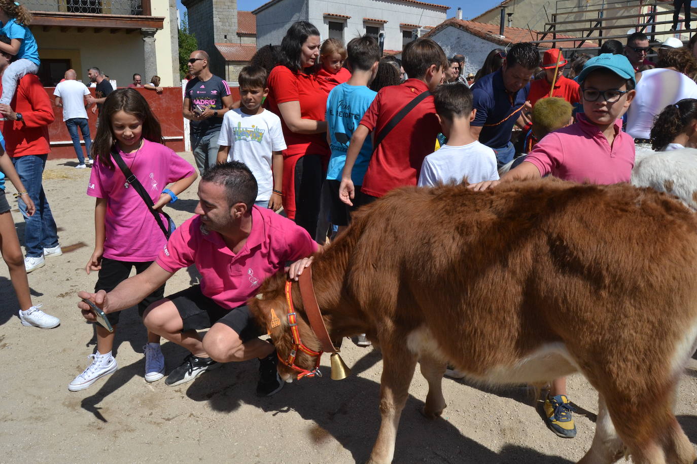 Bello y vistoso encierro a caballo en Bañobárez