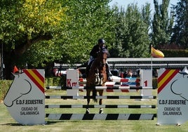 Ejercicio de un caballo y su jinete