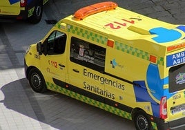 Una ambulancia de Sacyl se trasladó hasta el lugar para atender al afectado.